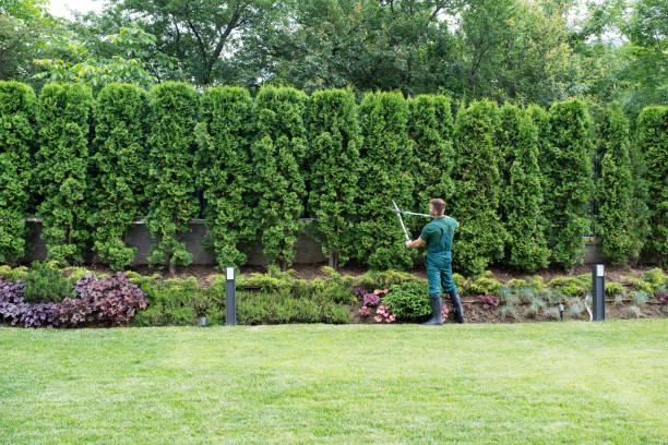 Best Tree Risk Assessment  in Blossom, TX